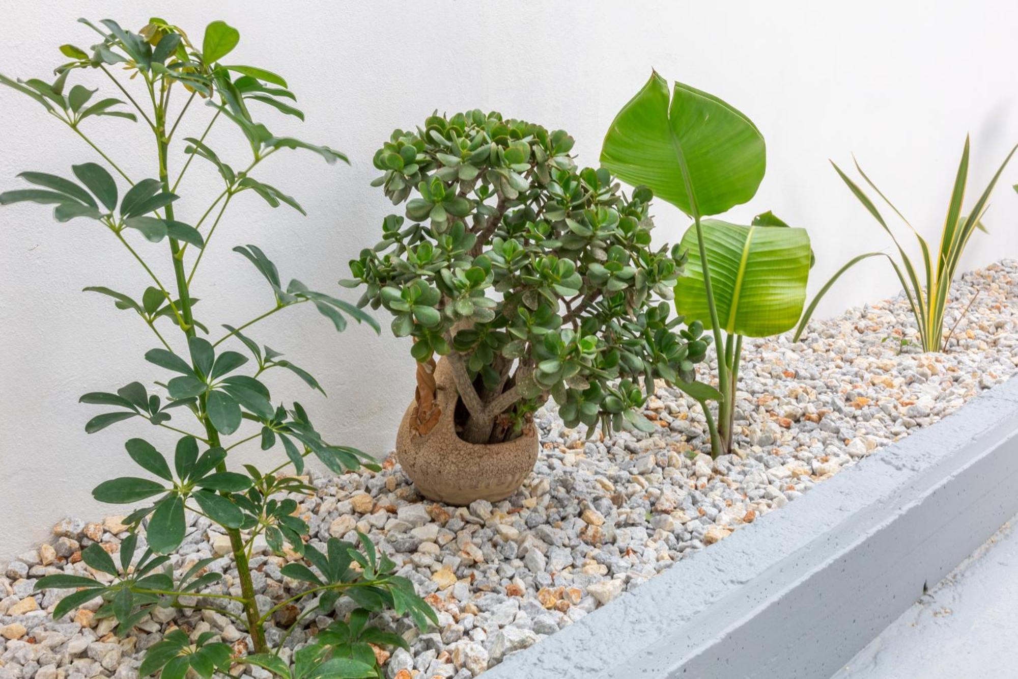 Garden Luxury Apartment Heraklion  ภายนอก รูปภาพ