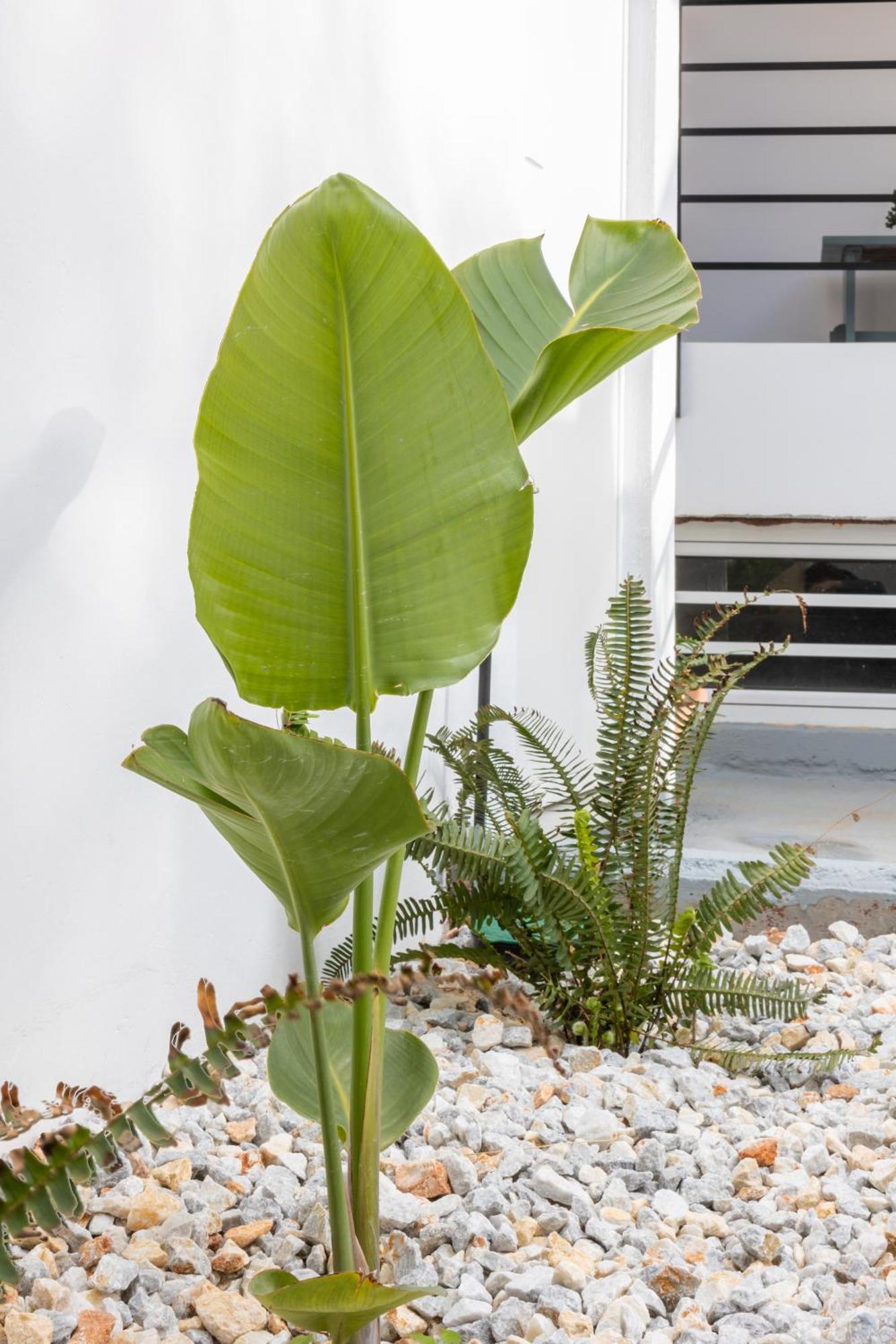Garden Luxury Apartment Heraklion  ภายนอก รูปภาพ